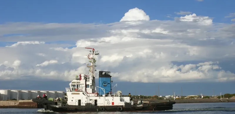 FORJADOR Tug Boat IMO 7429619 photo 6