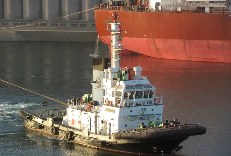 FORJADOR Tug Boat IMO 7429619 photo 10