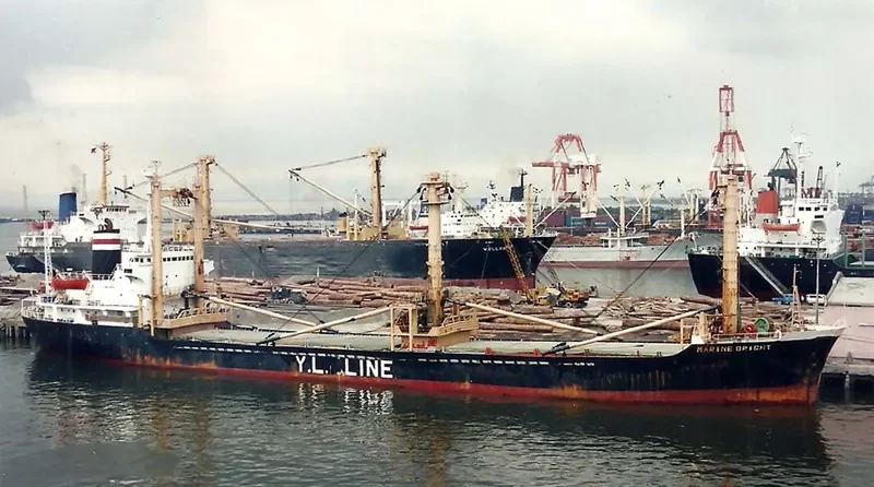 LAI LONG General Cargo IMO 7429724