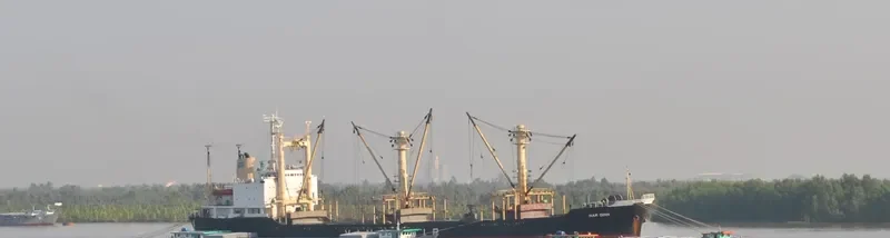 NAM DINH General Cargo IMO 7429762