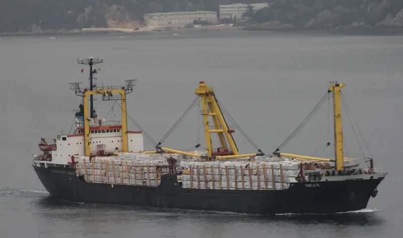 ORCA K Bulk Carrier IMO 7429918 photo 3