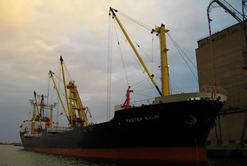 ORCA K Bulk Carrier IMO 7429918 photo 7