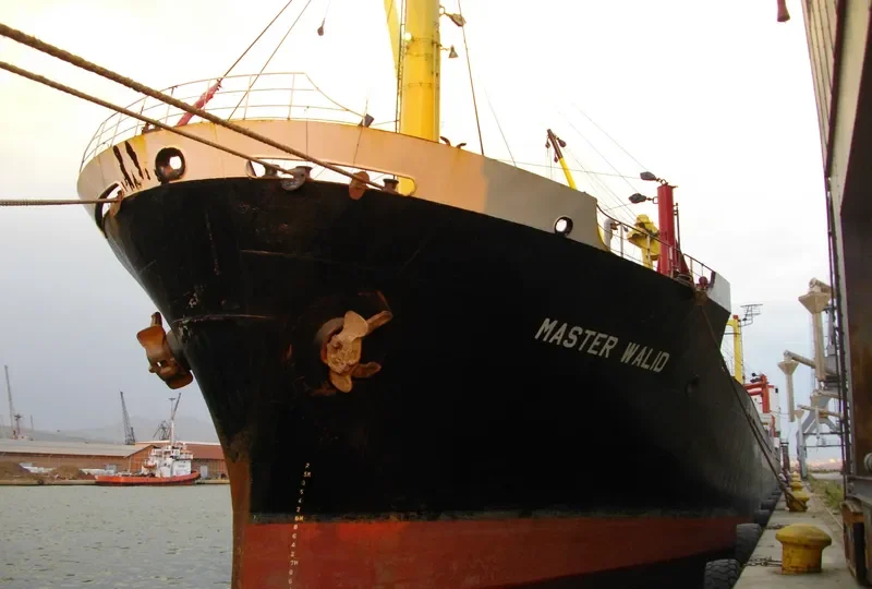 ORCA K Bulk Carrier IMO 7429918 photo 8