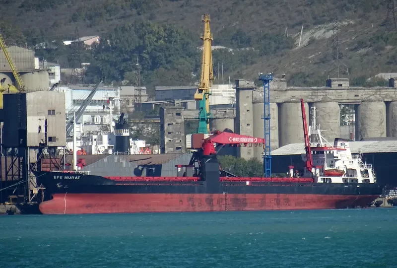 EFE MURAT General Cargo IMO 7431131 photo 7