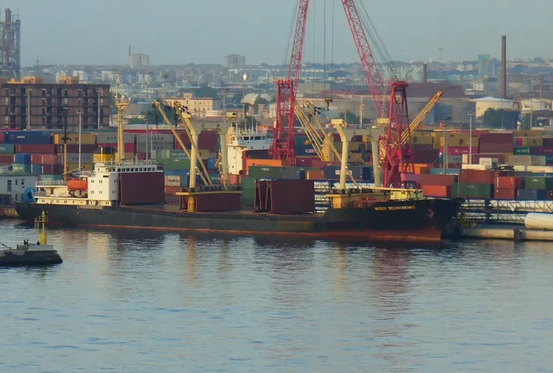 VASILIY BELOKONENKO General Cargo IMO 7431260 photo 2