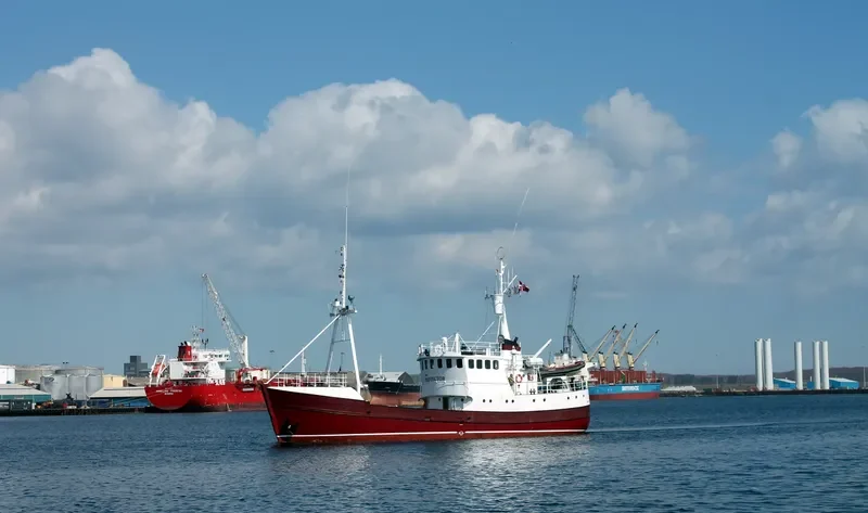 WIND PROTECTOR General Cargo IMO 7431313 photo 7