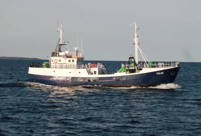 SALME General Cargo IMO 7431337 photo 4