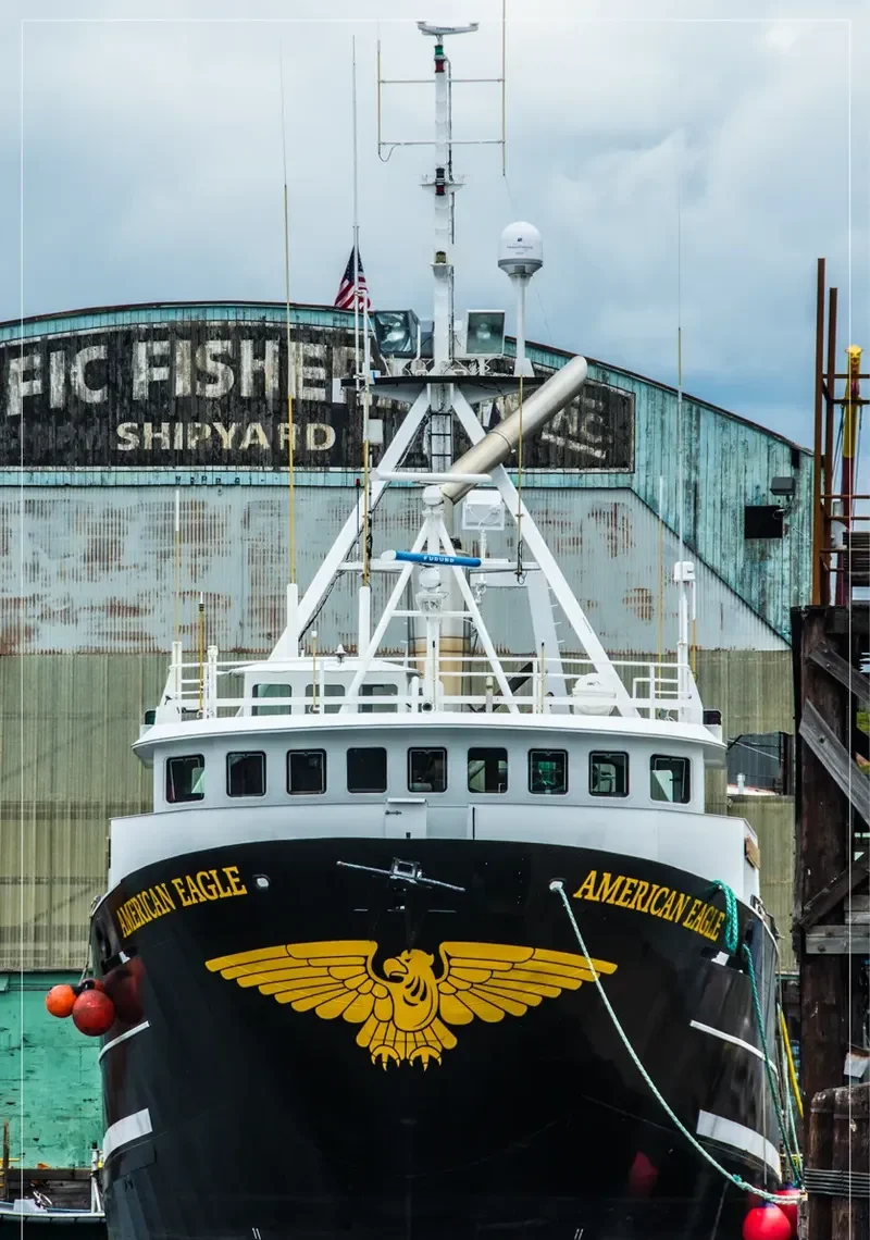 AMERICAN EAGLE General Cargo IMO 7431557