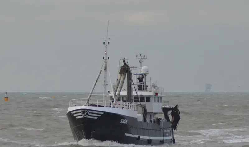 MARIA HAMETNER General Cargo IMO 7431569
