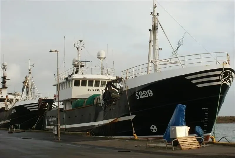 MARIA HAMETNER General Cargo IMO 7431569 photo 6