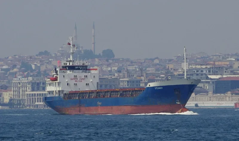 STEAMER General Cargo IMO 7431686