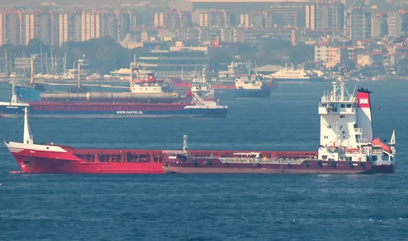 KALE General Cargo IMO 7431727