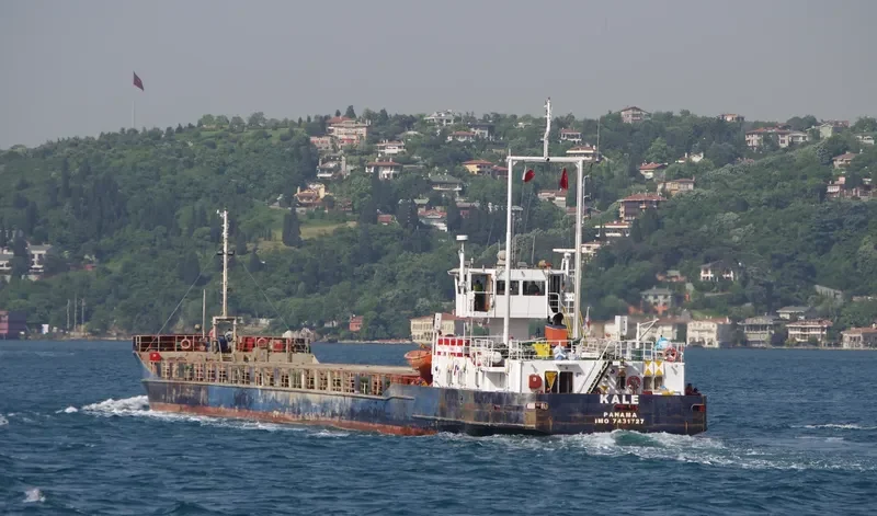 KALE General Cargo IMO 7431727 photo 2