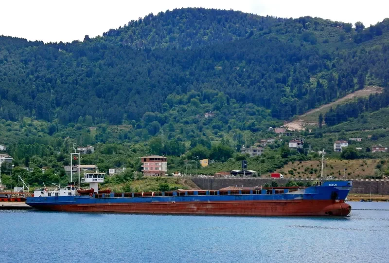 KALE General Cargo IMO 7431727 photo 4