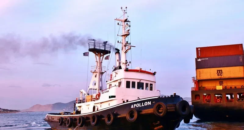 APOLLON General Cargo IMO 7431806 photo 7