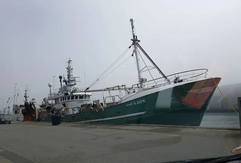 SALVOEY General Cargo IMO 7431868 photo 2