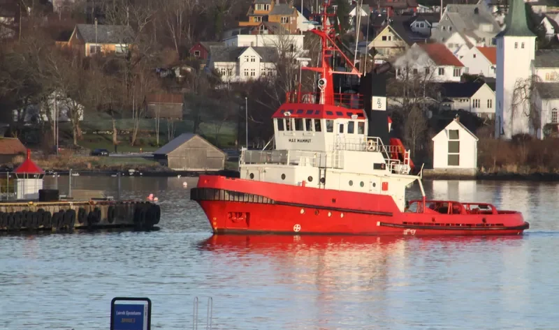 MAX MAMMUT General Cargo IMO 7432290 photo 2