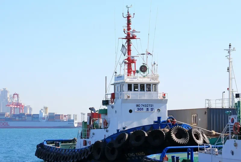 301 CHOYANGHO General Cargo IMO 7432721