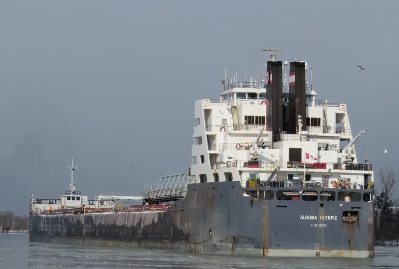 ALGOMA OLYMPIC Bulk Carrier IMO 7432783 photo 6
