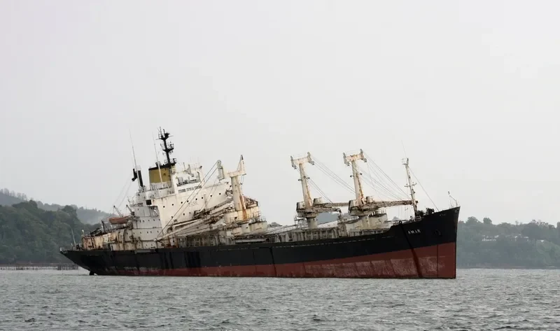 AMAR General Cargo IMO 7432903 photo 6