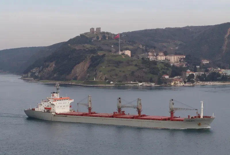 KALIST Bulk Carrier IMO 7433012 photo 4
