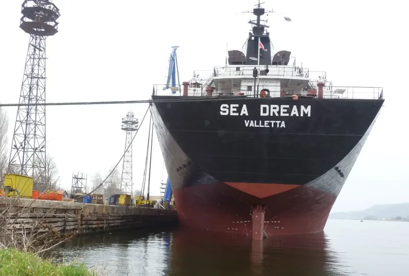SEA DREAM Bulk Carrier IMO 7433062 photo 3