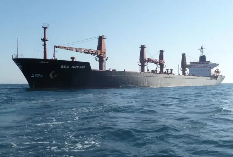 SEA DREAM Bulk Carrier IMO 7433062 photo 7