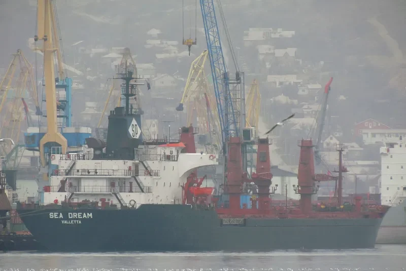 SEA DREAM Bulk Carrier IMO 7433062 photo 8