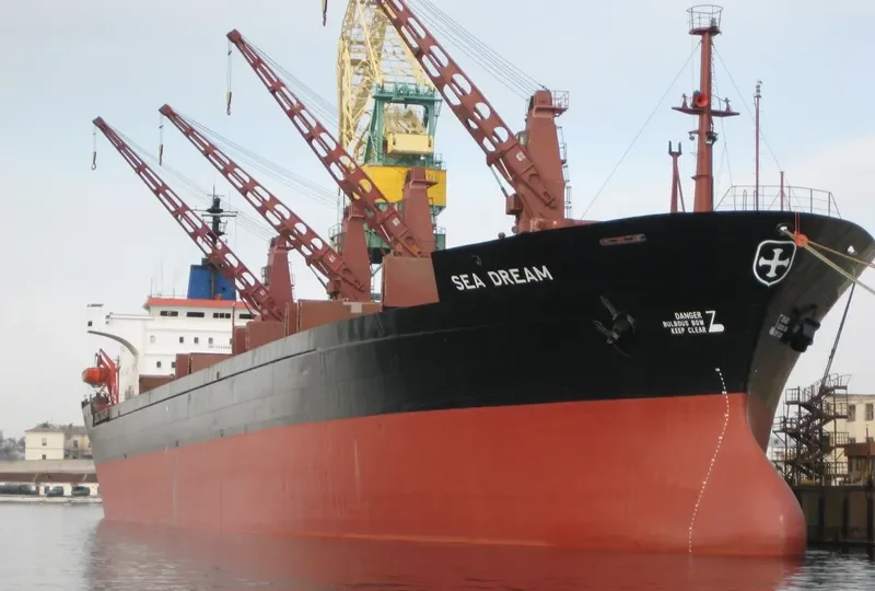 SEA DREAM Bulk Carrier IMO 7433062 photo 10