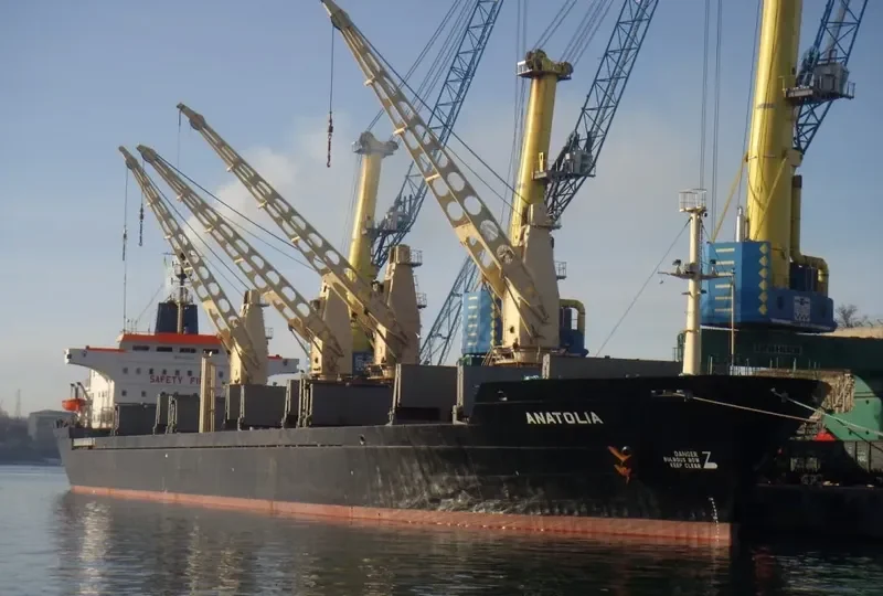 ANATOLIA Bulk Carrier IMO 7433103