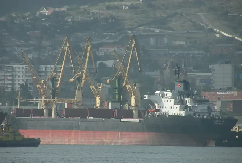 ANATOLIA Bulk Carrier IMO 7433103 photo 2