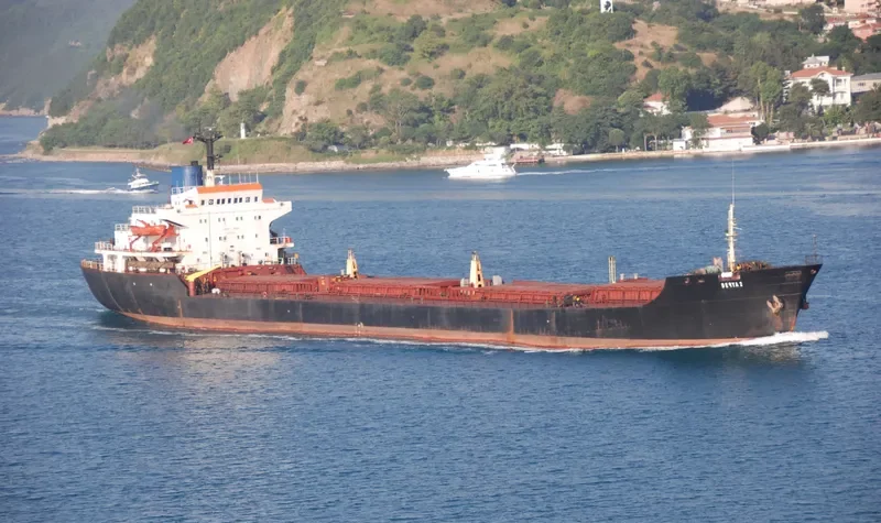 DERYA 2 Bulk Carrier IMO 7433323 photo 2