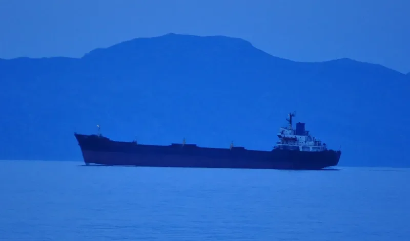 DERYA 2 Bulk Carrier IMO 7433323 photo 3