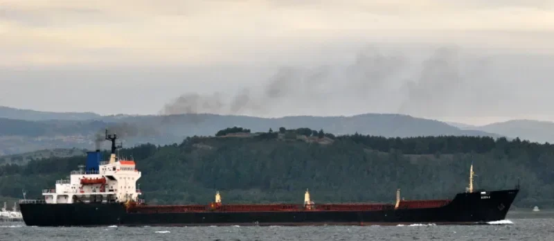 DERYA 2 Bulk Carrier IMO 7433323 photo 4