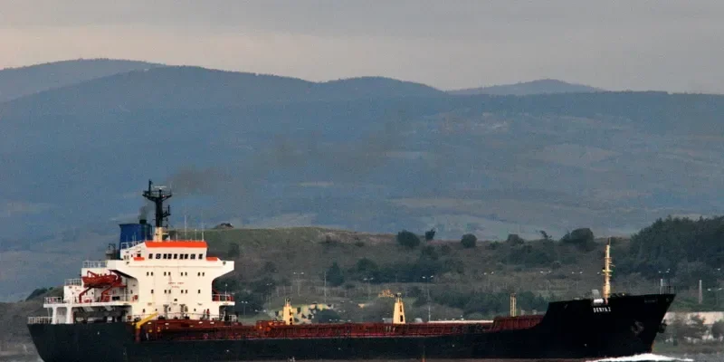 DERYA 2 Bulk Carrier IMO 7433323 photo 5