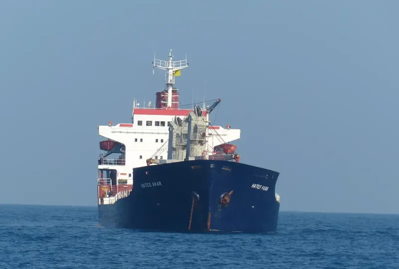 HATICE AKAR Bulk Carrier IMO 7433335 photo 2