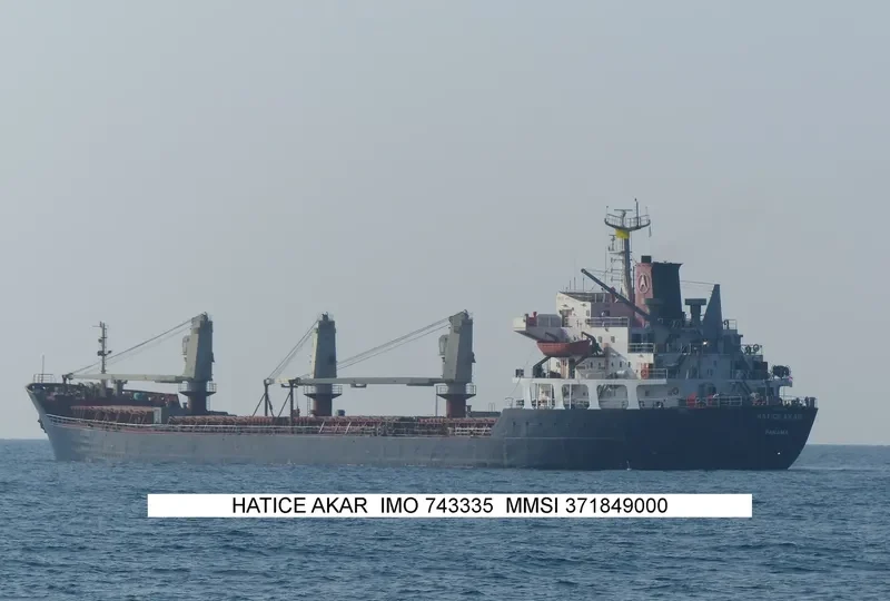 HATICE AKAR Bulk Carrier IMO 7433335 photo 4