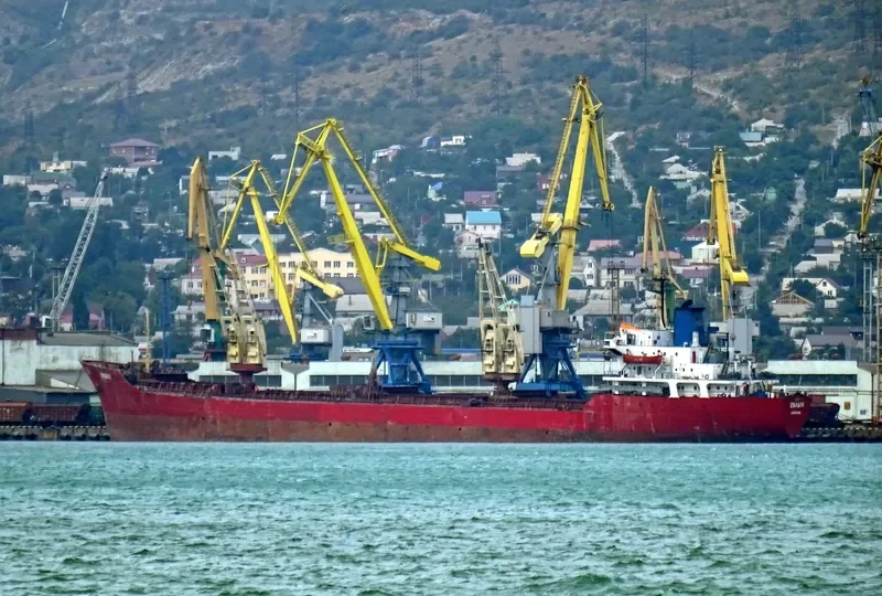 EMAN Bulk Carrier IMO 7433347 photo 2