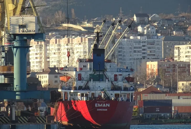 EMAN Bulk Carrier IMO 7433347 photo 4