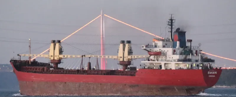 EMAN Bulk Carrier IMO 7433347 photo 5