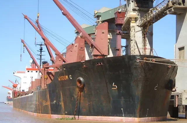 WISDOM C Bulk Carrier IMO 7433464