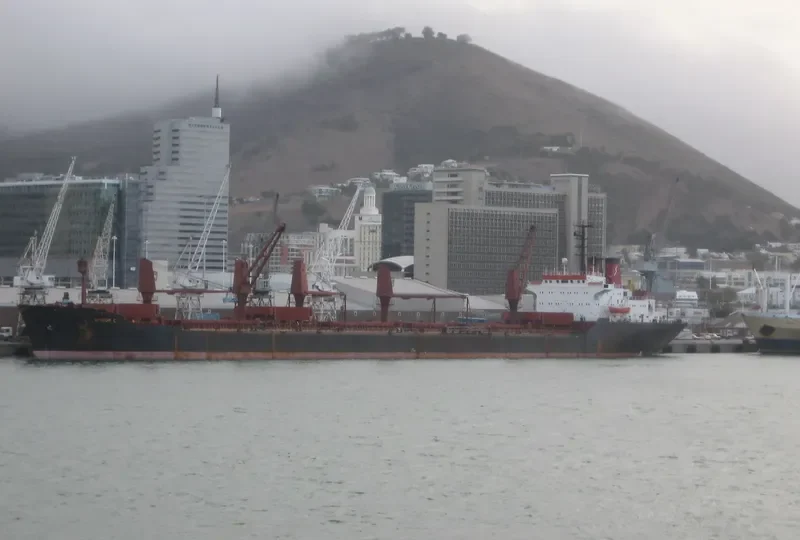 WISDOM C Bulk Carrier IMO 7433464 photo 2