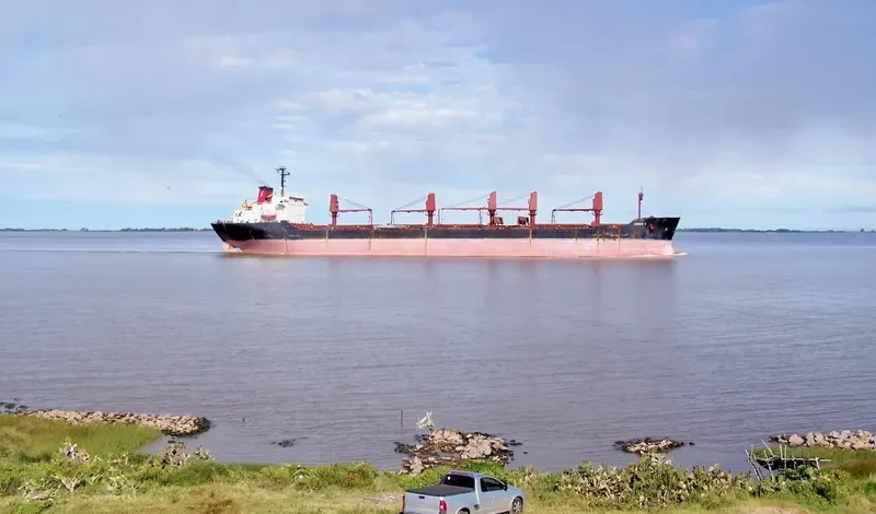 WISDOM C Bulk Carrier IMO 7433464 photo 3