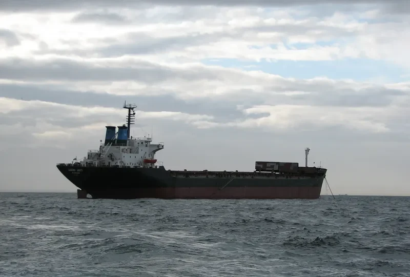 LEGEND UNITY Bulk Carrier IMO 7433488 photo 2
