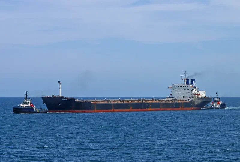 MIMOSA K Bulk Carrier IMO 7433517 photo 9
