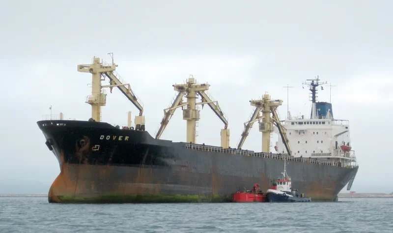 DOVER Bulk Carrier IMO 7433634