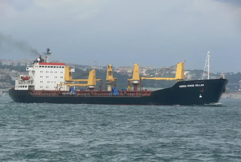 DOVER Bulk Carrier IMO 7433634 photo 2