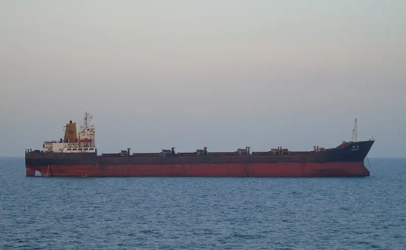 SHUO HAI Bulk Carrier IMO 7433672