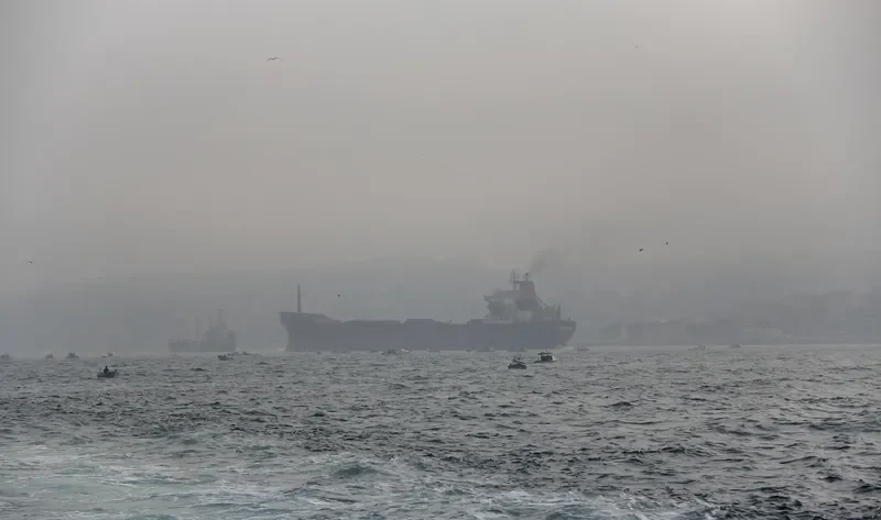 GOKHAN KIRAN Bulk Carrier IMO 7433696 photo 5