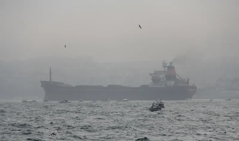 GOKHAN KIRAN Bulk Carrier IMO 7433696 photo 6